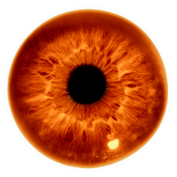 Гадание на картах Таро online в Бишкеке